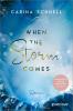 When the Storm Comes - 