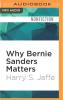 Why Bernie Sanders Matters - 