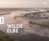 Wilde Elbe - 