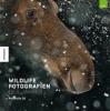 Wildlife Fotografien des Jahres – Portfolio 30 - 