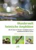 Wunderwelt heimische Amphibien - 