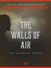 The Walls of Air - Barbara Hambly