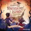 Die Geheimnisse von Ravenstorm Island 02. Das Geisterschiff - Gillian Philip