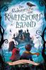 Die Geheimnisse von Ravenstorm Island - Die verschwundenen Kinder - Gillian Philip