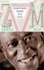 Sometimes There Is a Void - Zakes Mda
