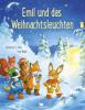 Emil und das Weihnachtsleuchten - Katharina E. Volk