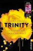 Trinity 01 - Verzehrende Leidenschaft - Audrey Carlan