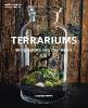 Terrariums - Mathilde Leliévre