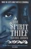 The Spirit Thief - Rachel Aaron