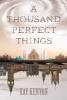 A Thousand Perfect Things - Kay Kenyon