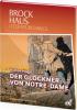 Brockhaus Literaturcomics Der Glöckner von Notre-Dame - Victor Hugo