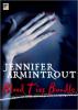 Blood Ties Bundle: Blood Ties Book One: The Turning / Blood Ties Book Two: Possession / Blood Ties Book Three: Ashes to Ashes / Blood Ties Book Four: All Souls' Night - Jennifer Armintrout