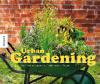 Urban Gardening: Gemüse anbauen auf kleinstem Raum - Mark Diacono, Lia Leendertz