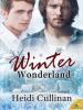 Winter Wonderland - Heidi Cullinan