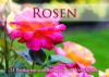 Rosen, Postkartenbuch - 