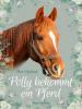 Polly bekommt ein Pferd - Thea Oljelund