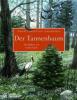Der Tannenbaum - Hans Christian Andersen