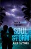 Soul Storm - Kate Harrison
