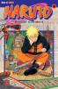 Naruto. Bd.35 - Masashi Kishimoto