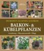 Dumonts kleines Lexikon Balkon- & Kübelpflanzen - Wota Wehmayer, Hermann Hackstein