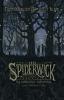 The Spiderwick Chronicles: The Completely Fantastical Edition: The Field Guide; The Seeing Stone; Lucinda's Secret; The Ironwood Tree; The Wrath of Mu - Tony DiTerlizzi, Holly Black