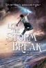 Let the Storm Break - Shannon Messenger
