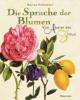 Die Sprache der Blumen - Marina Heilmeyer