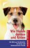 Wie Hunde denken und fühlen - Stanley Coren