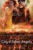 Mortal Instruments 4: City of Fallen Angels - Cassandra Clare