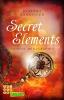 Secret Elements - Im Spiel der Flammen - Johanna Danninger