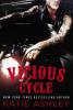 Vicious Cycle - Katie Ashley