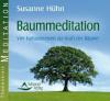 Baummeditation - Susanne Hühn