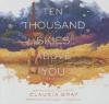 Ten Thousand Skies Above You: A Firebird Novel - Claudia Gray