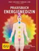 Praxisbuch Energiemedizin - Natalie Lauer, Li Wu