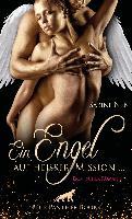 Ein Engel auf heißer Mission ... Erotischer Roman