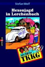Hexenjagd in Lerchenbach