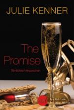 The Promise - Sinnliches Versprechen