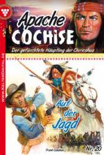 Apache Cochise 20 - Western