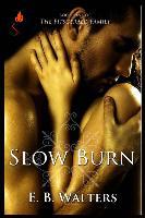 Slow Burn