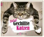 Total Gechillte Katzen