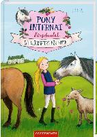 Pony-Internat Kirschental (Bd. 1)