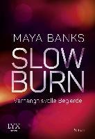 Slow Burn 02 - Verhängnisvolle Begierde