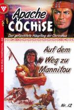 Apache Cochise 12 - Western