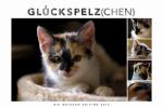 Der Whiskas Kalender 2014