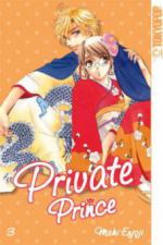 Private Prince. Bd.3