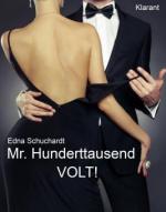 Mr. Hunderttausend Volt! Turbulenter, witziger Liebesroman - Liebe, Sex und Leidenschaft...