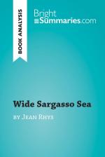 Wide Sargasso Sea by Jean Rhys (Book Analysis)