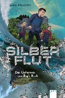 Silberflut - Das Geheimnis von Ray's Rock. Bd.1