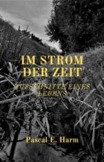 Im Strom der Zeit