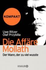 Die Affäre Mollath - kompakt